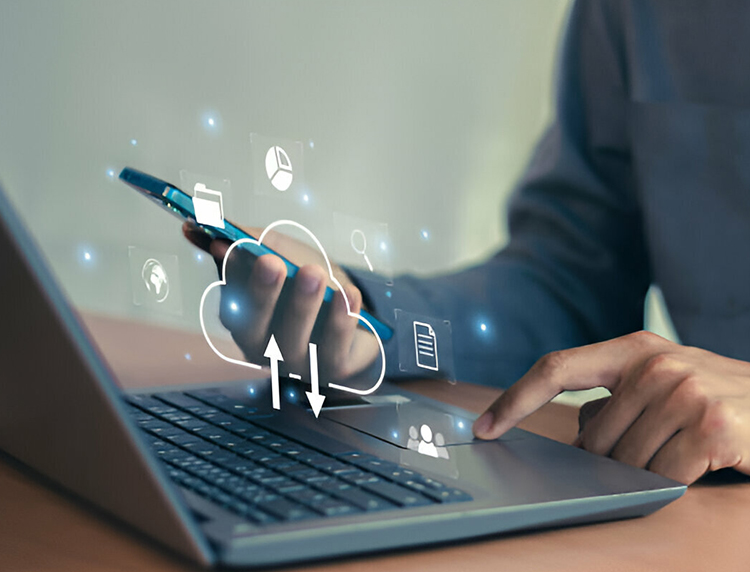 Network infrastructure and connectivity services